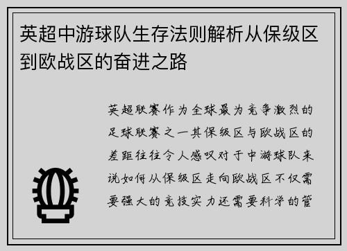 英超中游球队生存法则解析从保级区到欧战区的奋进之路