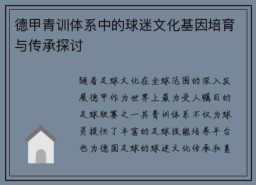 德甲青训体系中的球迷文化基因培育与传承探讨